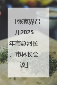 张家界召开2025年市总河长、市林长会议